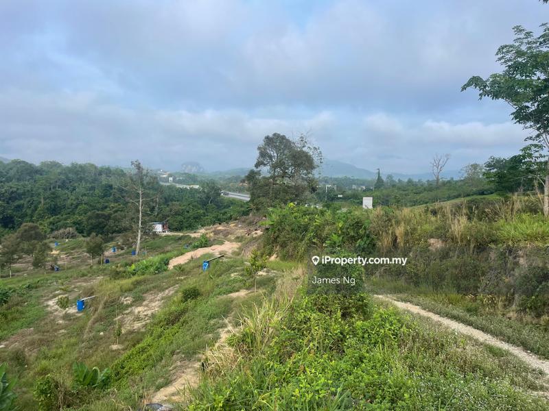 Agricultural Land for Sale in Karak,Pahang, Kuantan by James Ng - iProperty.com.my