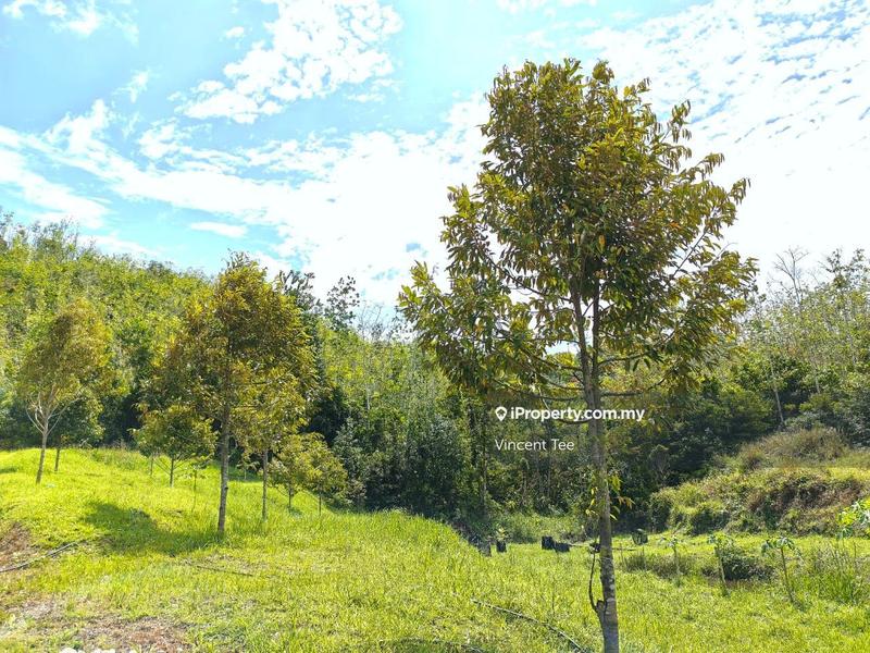Tanah Pertanian untuk Dijual di Kampung Renal, Kuala Klawang oleh Vincent Tee - iProperty.com.my