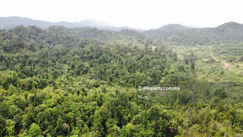 Agricultural Land for Sale in Kuala Rompin, Pahang by Huda - iProperty.com.my