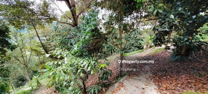 Tanah Pertanian untuk Dijual di Balik Pulau, George Town oleh CH Chang - iProperty.com.my