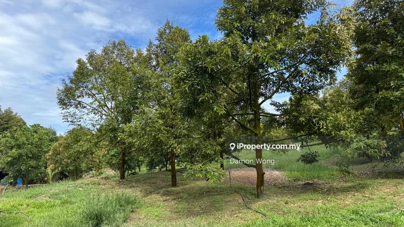 Agricultural Land for Sale in Cinta Manis, Karak by Damon Wong - iProperty.com.my