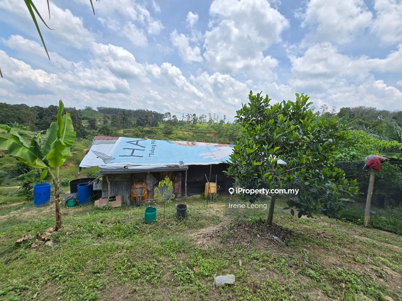 Agricultural Land for Sale in Karak, Pahang by Irene Leong - iProperty.com.my
