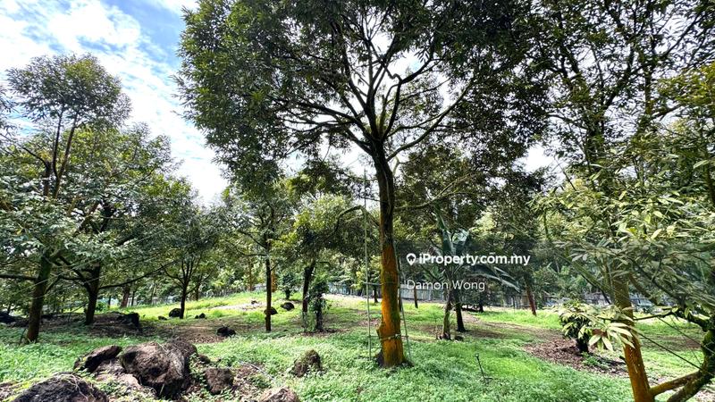 Agricultural Land for Sale in Cinta Manis, Karak by Damon Wong - iProperty.com.my