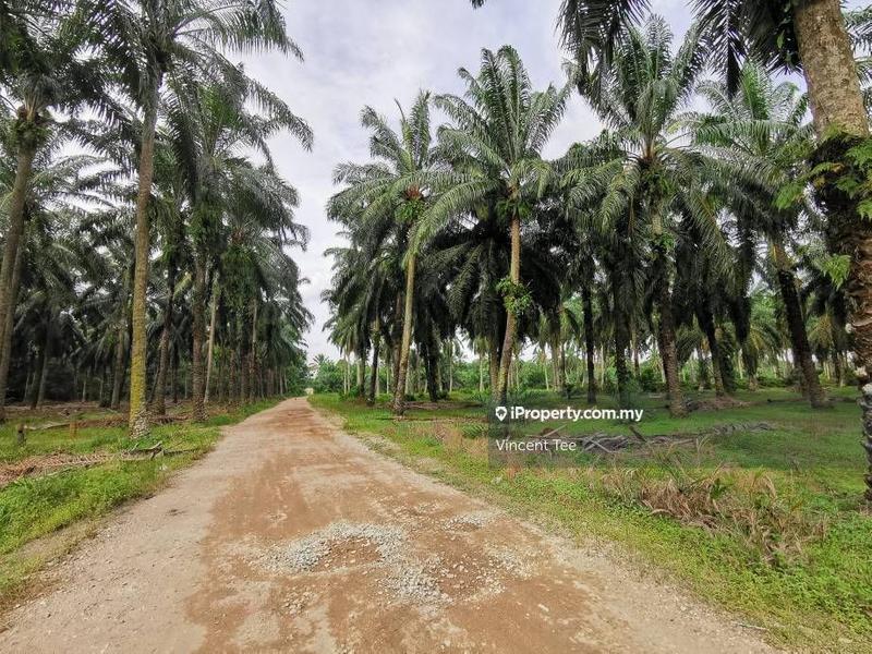 Industrial Land for Sale in Ijok, Kuala Selangor by Vincent Tee - iProperty.com.my