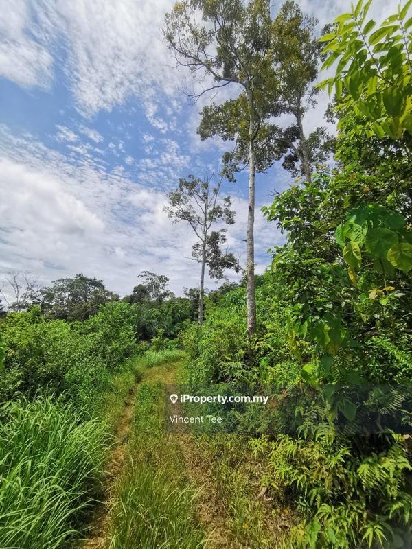 Tanah Pertanian untuk Dijual di Bandar Raub Perdana, Raub oleh Vincent Tee - iProperty.com.my