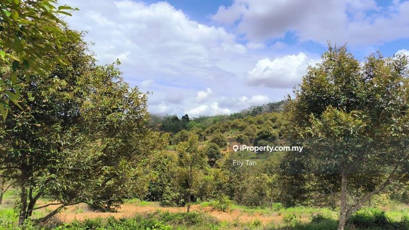 Tanah Pertanian untuk Dijual di Telemong, Karak, Bentong, Raub, Manchis, Bentong oleh Elly Tan - iProperty.com.my