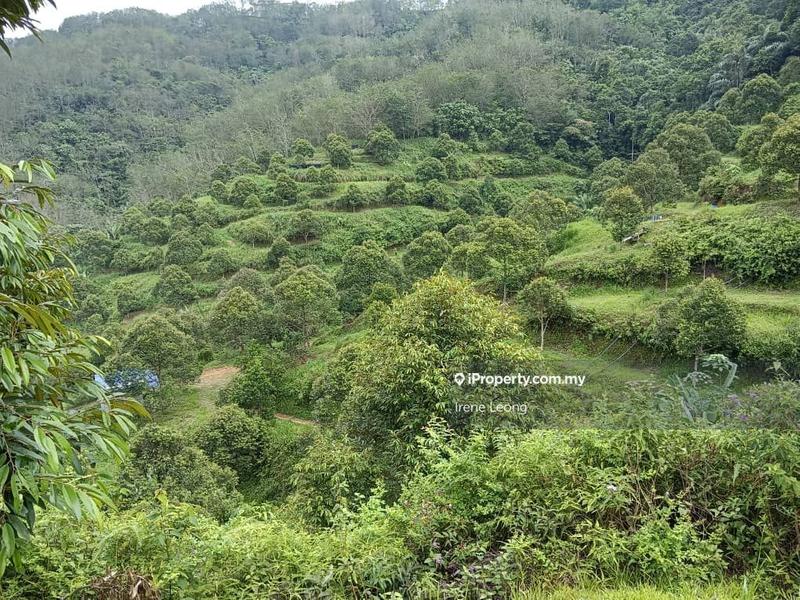 Agricultural Land for Sale in Raub, Pahang by Irene Leong - iProperty.com.my