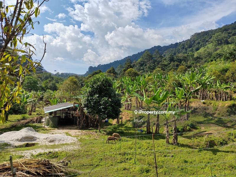 Agricultural Land for Sale in Jelapang, Ipoh by Muni - iProperty.com.my