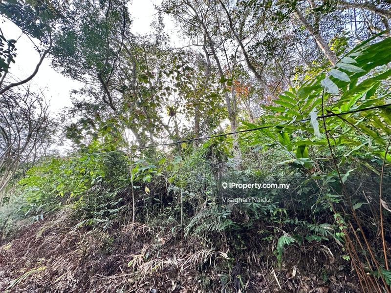 Tanah Pertanian untuk Dijual di Balik Pulau, Penang oleh Visaghan Naidu - iProperty.com.my
