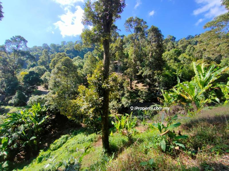 Agricultural Land for Sale in Gertak Sanggul, Bayan Lepas by Zusain Tan - iProperty.com.my