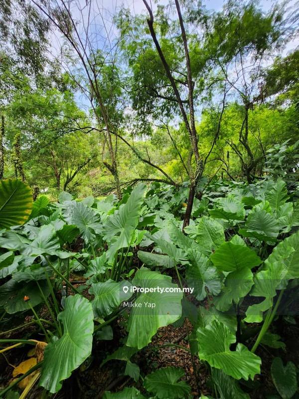 Industrial Land for Sale in Pusat Bandar Puchong, Puchong by Mikke Yap - iProperty.com.my