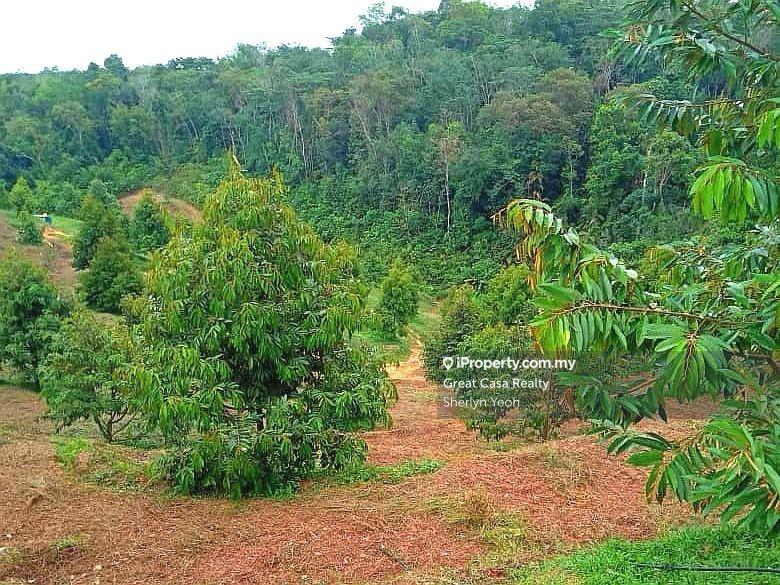 Agricultural Land for Sale in Slim River, Perak by Sherlyn Yeoh - iProperty.com.my