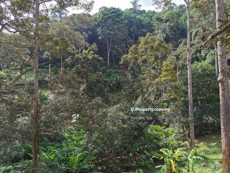 Tanah Pertanian untuk Dijual di Bukit Relau, Balik Pulau oleh Vincent Tee - iProperty.com.my