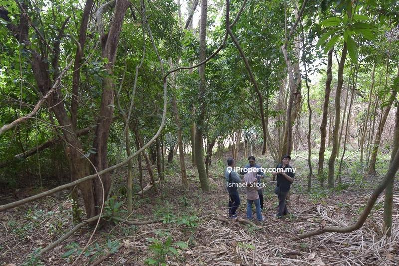 Agricultural Land for Sale in Langkawi, Kuah by Ismael Stork - iProperty.com.my
