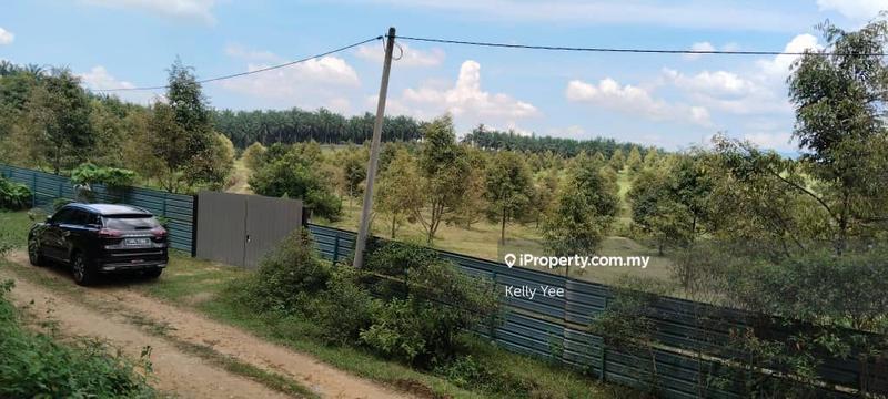 Tanah Pertanian untuk Dijual di Kampung Sungai Terap, Serdang oleh Kelly Yee - iProperty.com.my