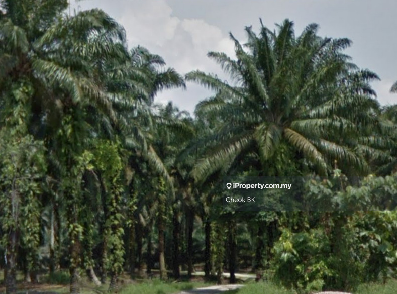 Industrial Land for Sale in Kampung Seelong Jaya, Senai by Cheok BK - iProperty.com.my
