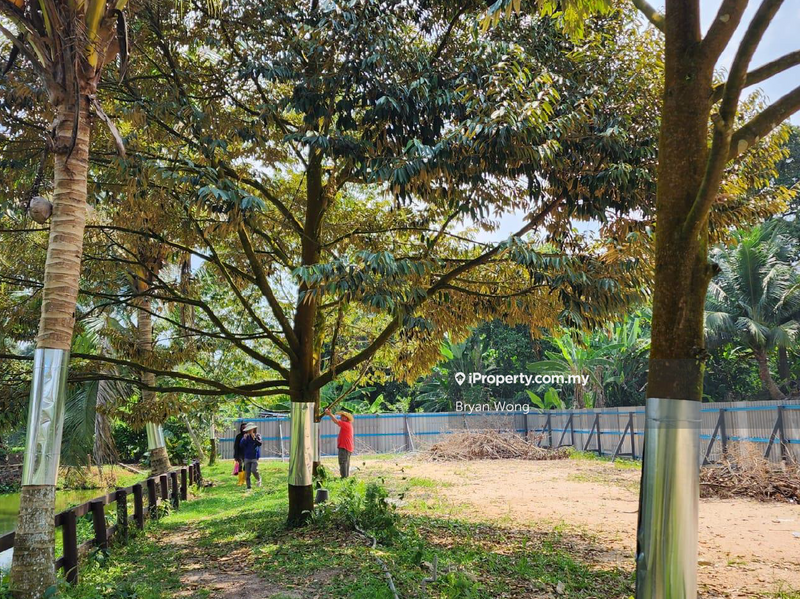 Tanah Pertanian untuk Dijual di Kampung Sungai Makau, Hulu Langat oleh Bryan Wong - iProperty.com.my