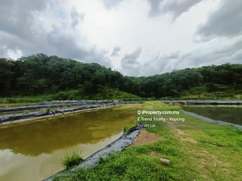 Tanah Pertanian untuk Dijual di Bukit Beruntung, Rawang oleh Kelvin Lai - iProperty.com.my