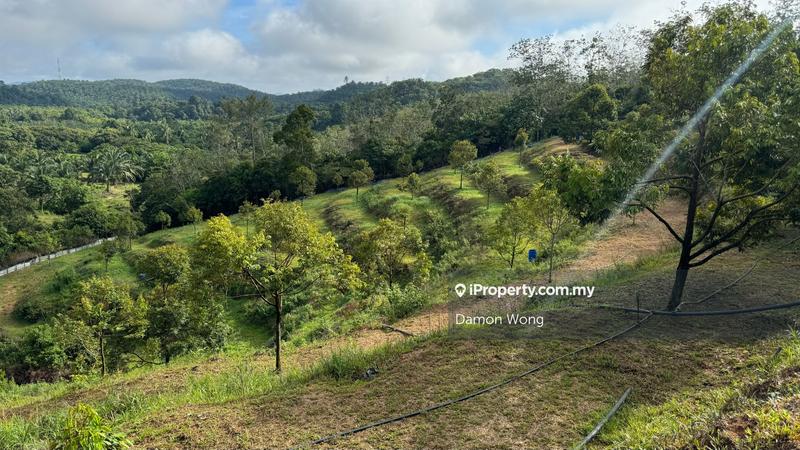 Agricultural Land for Sale in Sega, Dong, Raub by Damon Wong - iProperty.com.my