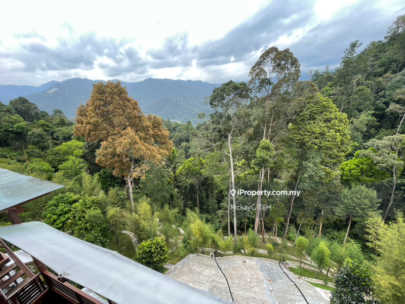 Agricultural Land for Sale in Bukit Tinggi, Bentong by MckayC TEH - iProperty.com.my