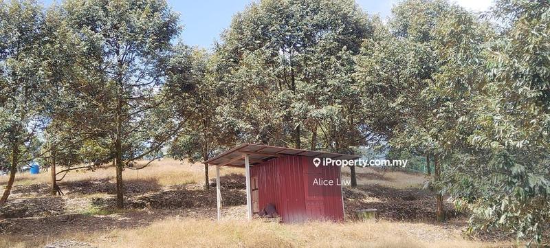 For Sale - Mukim Kalumpang