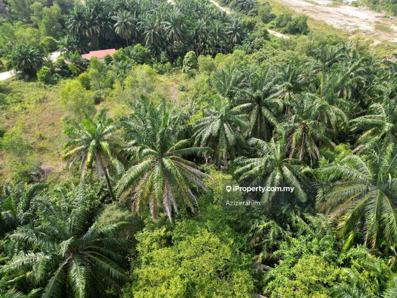 Tanah Kediaman untuk Dijual di Bukit Damar, Dengkil oleh Azizirrahim - iProperty.com.my