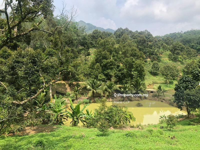 Tanah Pertanian untuk Dijual di Bentong, Pahang oleh Marie CLP - iProperty.com.my