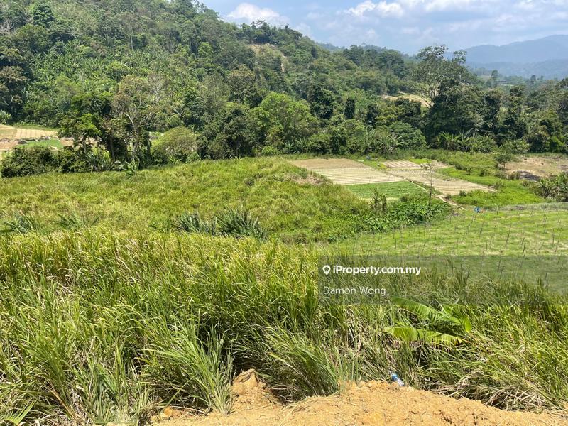 Agricultural Land for Sale in Bukit Tinggi, Bentong, Bentong by Damon Wong - iProperty.com.my