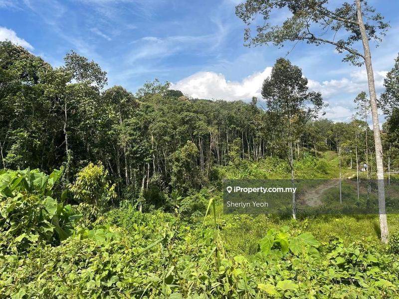 For Sale - Bentong Sg Dua Agricultural Land