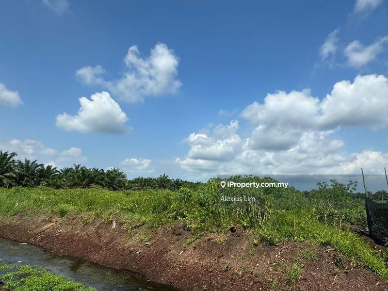 Agricultural Land for Sale in Kampung Batu 28, Pekan Nenas by Alexius Lim - iProperty.com.my