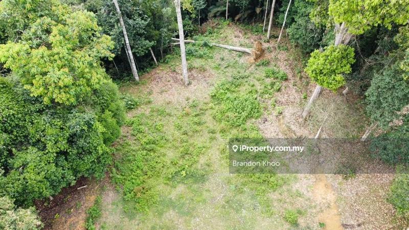 For Sale - Kampung Janda Baik