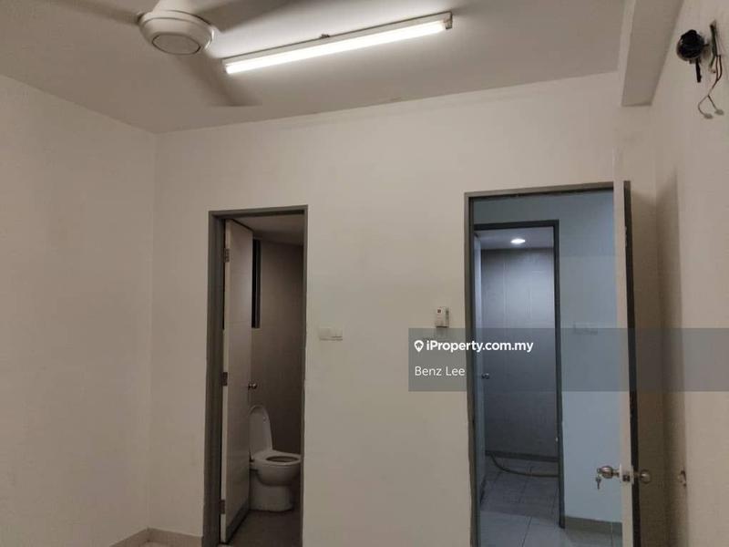 For Sale - Rafflesia