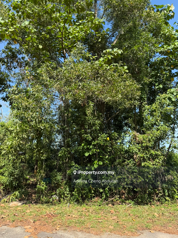 Banglo Tanah untuk Dijual di Kulim hi tech park, Kulim oleh Adelina Cheng Abdullah - iProperty.com.my
