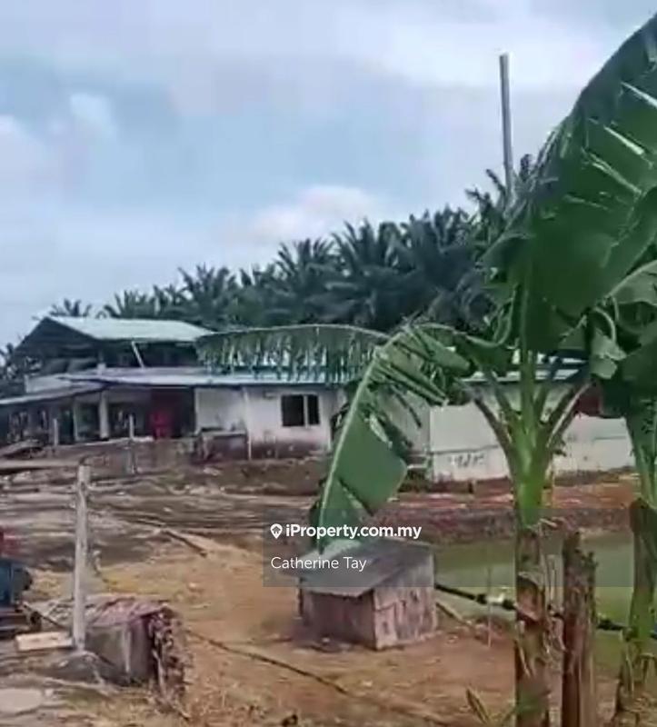 Agricultural Land for Sale in Sri Lalang, Kluang by Catherine Tay - iProperty.com.my