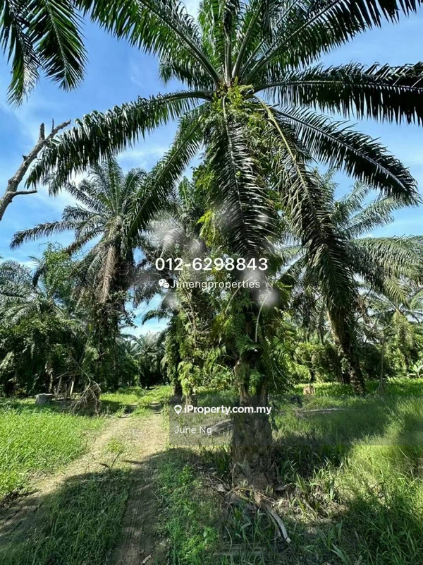 Agricultural Land for Sale in Rancangan Revolusi Hijau, Dengkil, Dengkil by June Ng - iProperty.com.my