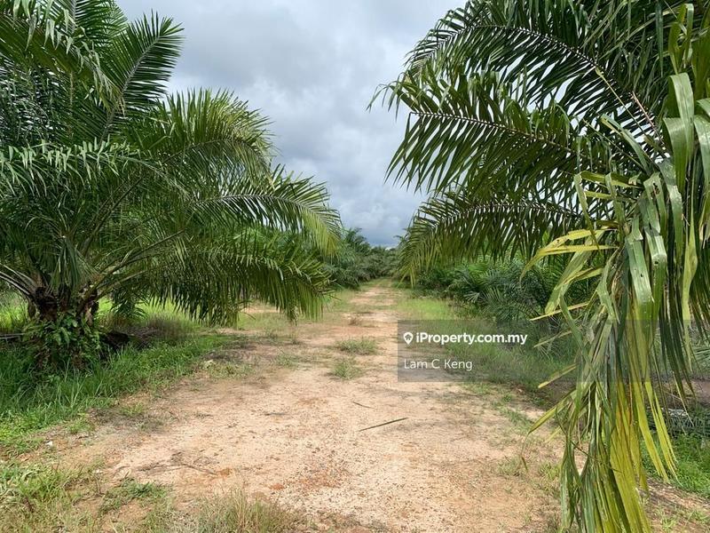 Agricultural Land for Sale in Kampung Sri Broga, Semenyih by Lam C Keng - iProperty.com.my