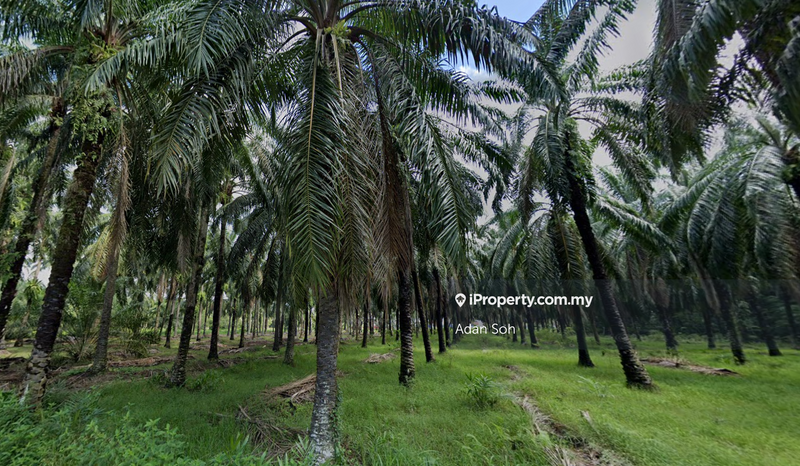 Industrial Land for Sale in Bestari Jaya, Kuala Selangor by Adan Soh - iProperty.com.my