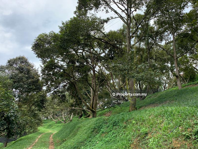 Agricultural Land for Sale in Raub, Raub by KC Ng - iProperty.com.my