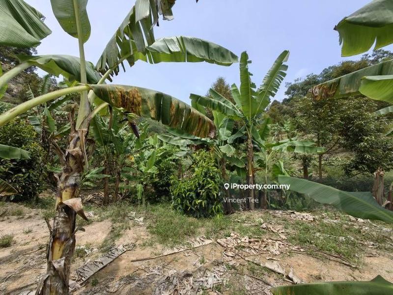 Agricultural Land for Sale in Taman Titi, Titi by Vincent Tee - iProperty.com.my
