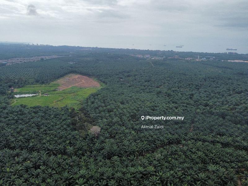 Agricultural Land for Sale in Melaka, Melaka City by Akmal Zaidi - iProperty.com.my