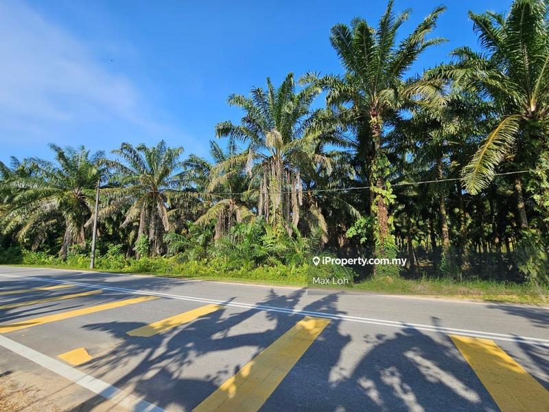 Agricultural Land for Sale in Kota Tinggi, Kota Tinggi by Max Loh - iProperty.com.my
