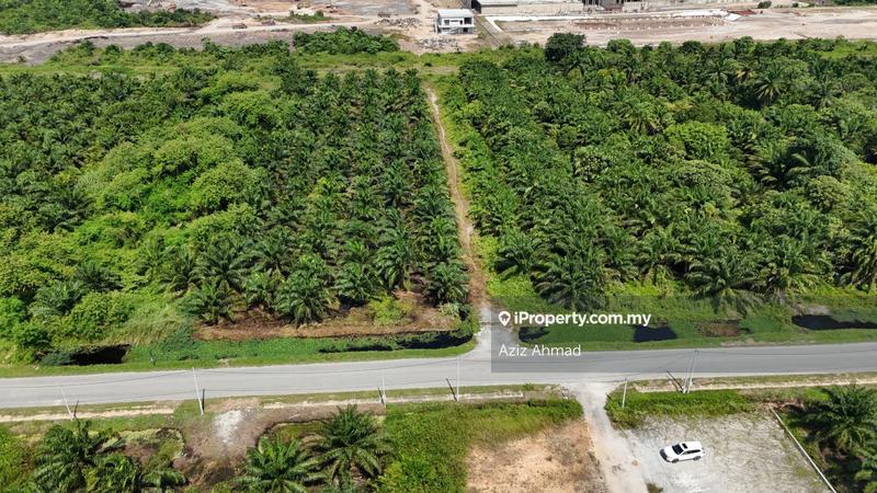 Agricultural Land for Sale in Kampung Jenjarom, Jenjarom by Aziz Ahmad - iProperty.com.my