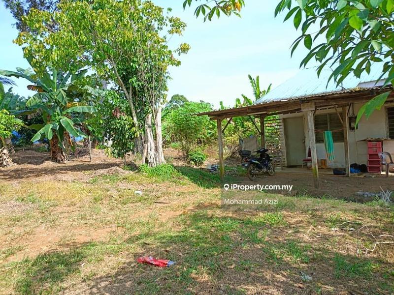 Agricultural Land for Sale in Balok, Sungai Karang by Mohammad Azizi - iProperty.com.my
