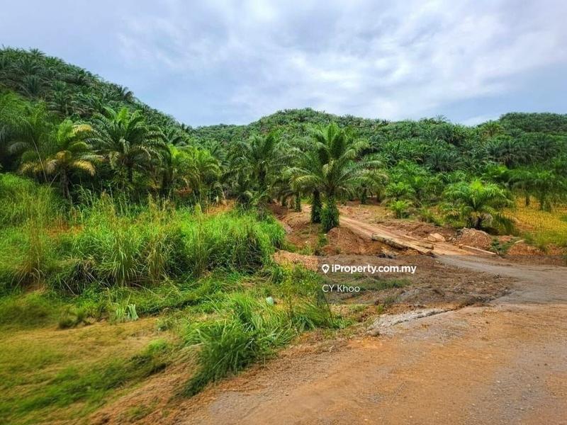 Tanah Pertanian untuk Dijual di Kelantan Gua Musang Limau Kasturi Sungai Galas, Limau Kasturi oleh CY Khoo - iProperty.com.my