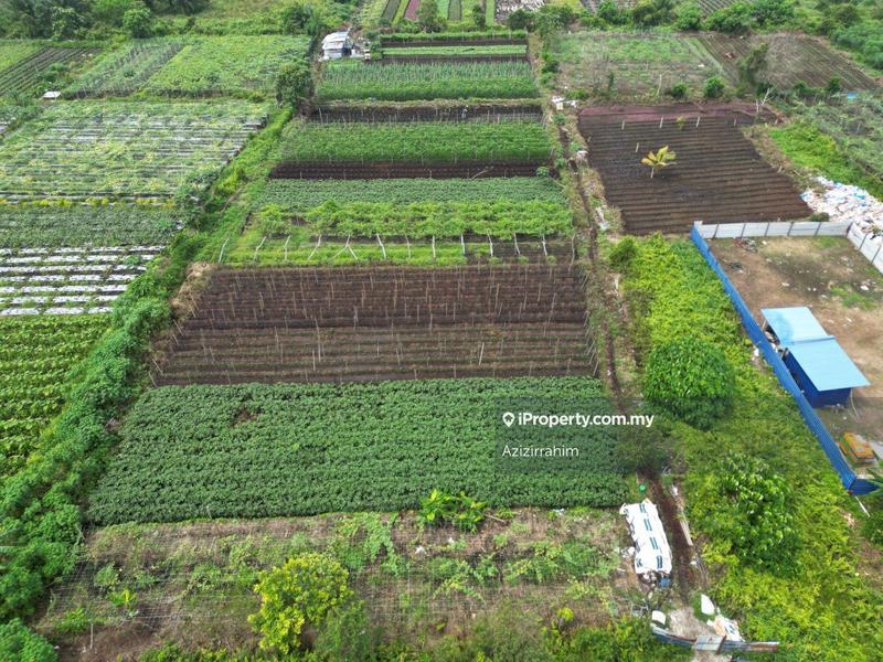 Agricultural Land for Sale in Kampung Sijangkang, Telok Panglima Garang by Azizirrahim - iProperty.com.my