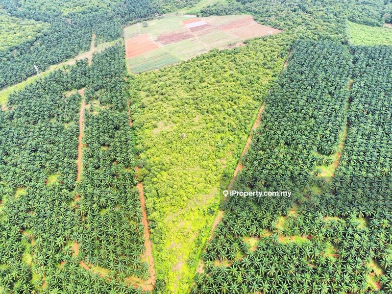 Agricultural Land for Sale in Kampung Batu 7, Port Dickson by Mohamad Faleeq - iProperty.com.my
