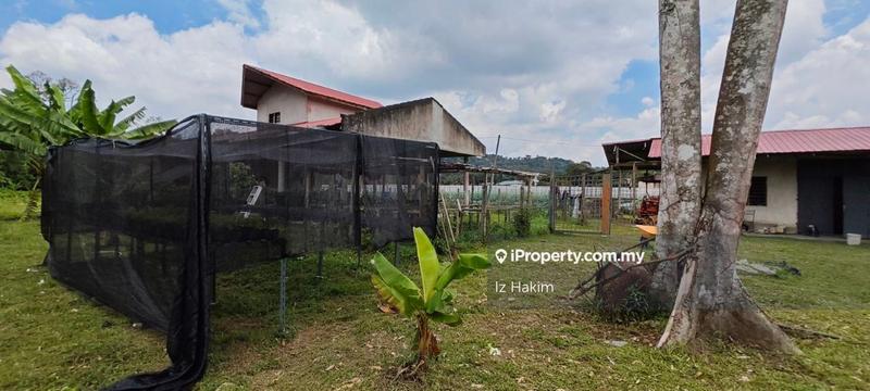 Agricultural Land for Sale in Batang Kali, Selangor by Iz Hakim - iProperty.com.my
