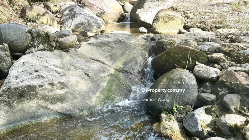 For Sale - 18.4 acres durian orchard in Sg Klau