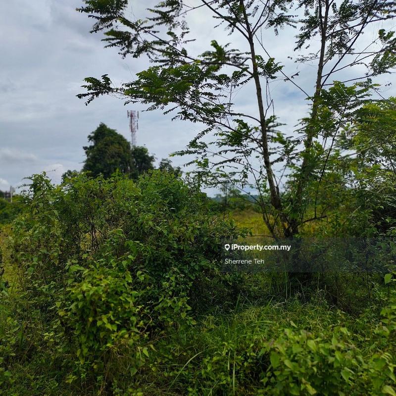 For Sale - 1/ 1.6/ 2 acre FH Agri land zone Industrial