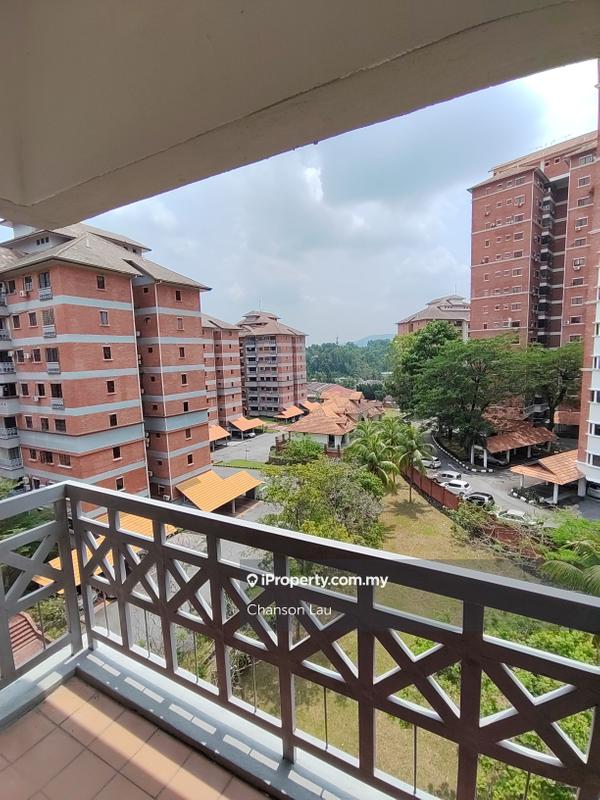 For Sale - Evergreen Park Scot Pine